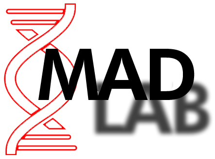 mad-lab logo 'madlab_logo1.png' by clikiticlak.com